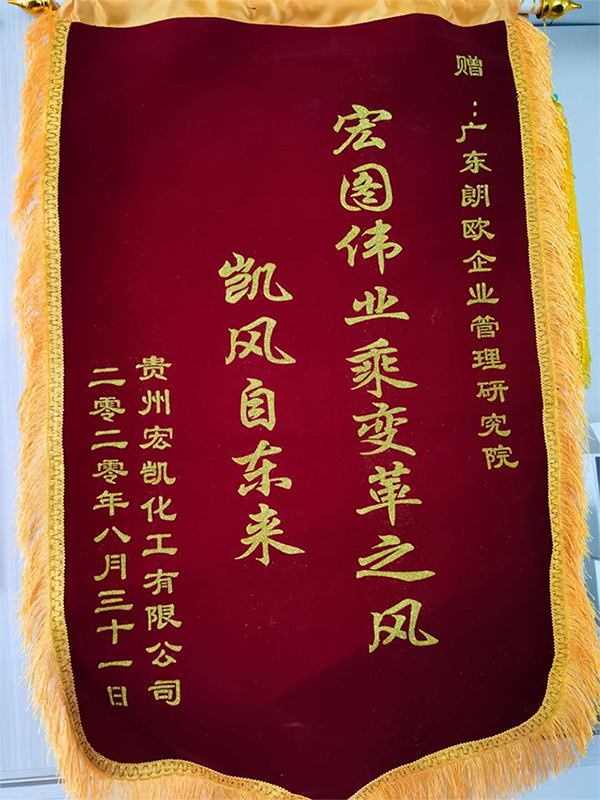 宏凱化工贈(zèng)送朗歐咨詢錦旗